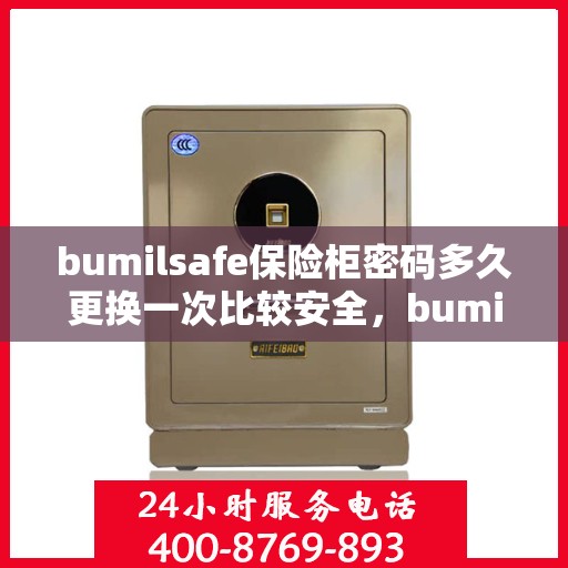 bumilsafe保险柜密码多久更换一次比较安全，bumilsafe保险柜，密码定期更换的安全实践与建议