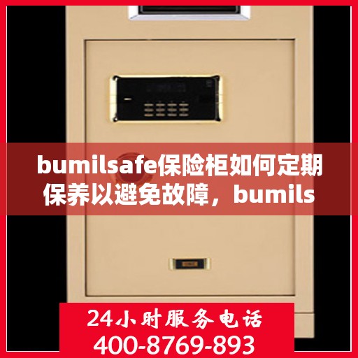 bumilsafe保险柜如何定期保养以避免故障，bumilsafe保险柜的定期保养指南，避免故障的小技巧