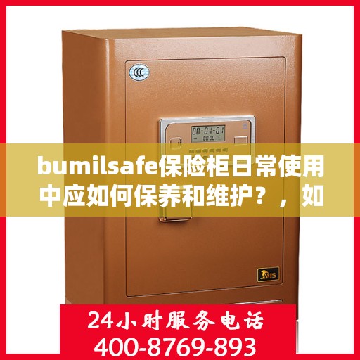 bumilsafe保险柜日常使用中应如何保养和维护？，如何保养和维护bumilsafe保险柜日常使用指南！