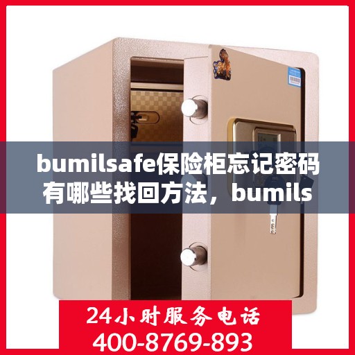 bumilsafe保险柜忘记密码有哪些找回方法，bumilsafe保险柜密码遗忘，多种找回方法解析