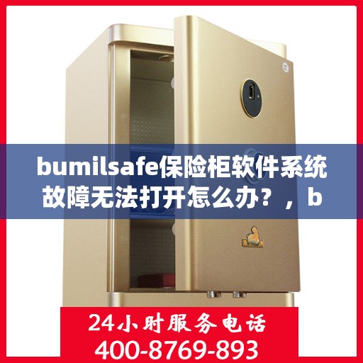 bumilsafe保险柜软件系统故障无法打开怎么办？，bumilsafe保险柜系统故障打不开的解决方法