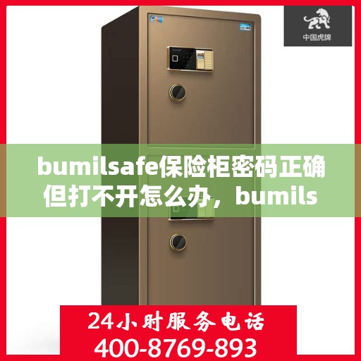 bumilsafe保险柜密码正确但打不开怎么办，bumilsafe保险柜密码正确却无法开启的解决方法